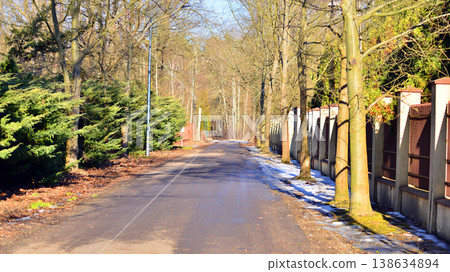 A tranquil residential street lined with trees casting dappled sunlight and shadows on the road. Perfect for concepts of nature, tranquility, and peaceful living. A tranquil residential street lined with trees casting dappled sunlight and shadows on the road. Perfect for concepts of nature, tranquility, and peaceful living. 138634894