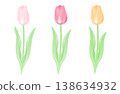 Vector illustration of tulips. Pink, red, and yellow. 138634932