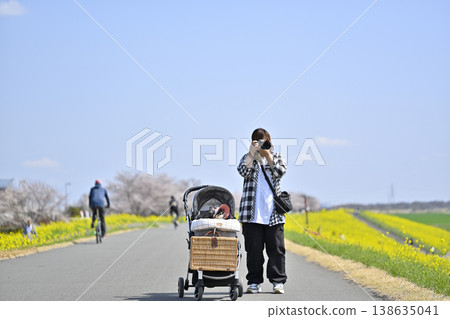 My dog and I, a mom photographer, amidst cherry blossoms in full bloom and a field of rapeseed flowers. Owner: Chihuahua My dog and I, a mom photographer, amidst cherry blossoms in full bloom and a field of rapeseed flowers. Owner: Chihuahua 138635041
