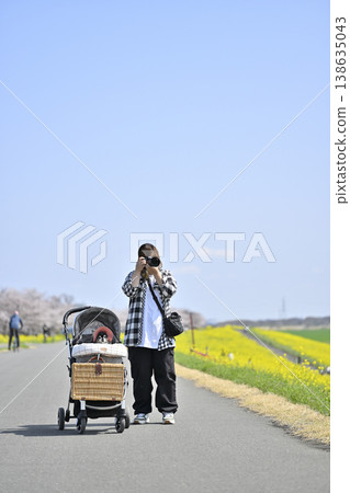 My dog and I, a mom photographer, amidst cherry blossoms in full bloom and a field of rapeseed flowers. Owner: Chihuahua My dog and I, a mom photographer, amidst cherry blossoms in full bloom and a field of rapeseed flowers. Owner: Chihuahua 138635043