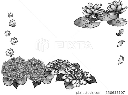 雨季花卉主題賀卡;單色插圖;JPG格式;白色背景。 雨季花卉主題賀卡;單色插圖;JPG格式;白色背景。 138635107