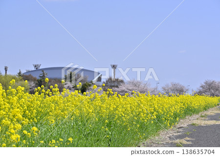 Saitama Prefecture, Konosu City, Cosmos Arena Fukiage: Spring scenery Saitama Prefecture, Konosu City, Cosmos Arena Fukiage: Spring scenery 138635704