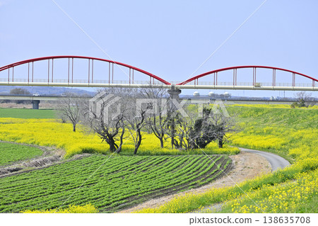 Saitama Prefecture, Konosu City, Cosmos Arena Fukiage: Spring scenery 138635708