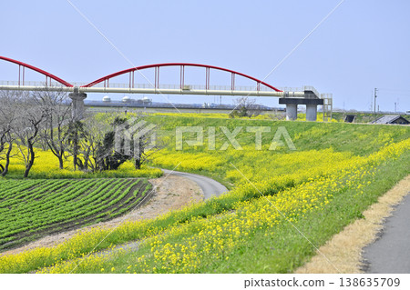Saitama Prefecture, Konosu City, Cosmos Arena Fukiage: Spring scenery Saitama Prefecture, Konosu City, Cosmos Arena Fukiage: Spring scenery 138635709