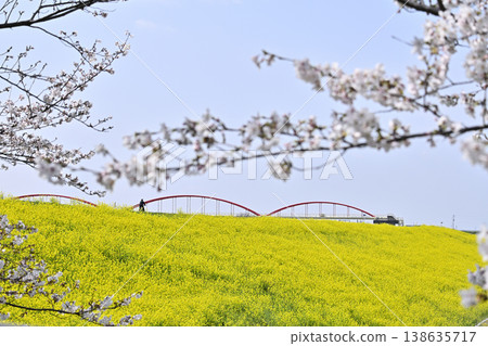 Saitama Prefecture, Konosu City, Cosmos Arena Fukiage: Spring scenery 138635717