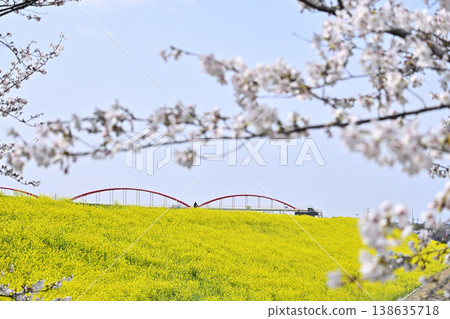 Saitama Prefecture, Konosu City, Cosmos Arena Fukiage: Spring scenery 138635718