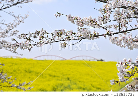 埼玉縣，河之須市，宇宙競技場吹上：春景 138635722