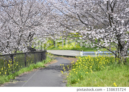 Saitama Prefecture, Konosu City, Cosmos Arena Fukiage: Spring scenery 138635724
