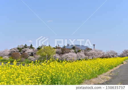 Saitama Prefecture, Konosu City, Cosmos Arena Fukiage: Spring scenery 138635737