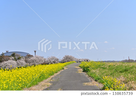 Saitama Prefecture, Konosu City, Cosmos Arena Fukiage: Spring scenery 138635739