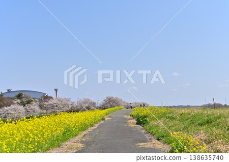 Saitama Prefecture, Konosu City, Cosmos Arena Fukiage: Spring scenery 138635740