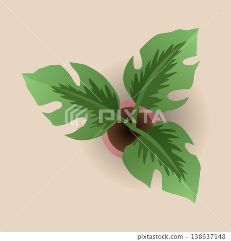 Interior furniture top view. Element for bedroom. Floor plan, view from above. Furniture store. Icon of interior. Isolated vector illustration 138637148