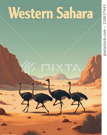 Four ostriches walk through the dry land of Western Sahara. Brown mountains rise in the background. The sky has soft colors, showing a clear day. The scene shows the desert landscape and wildlife. 138637443