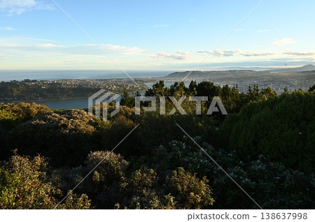 查看從山上 138637998