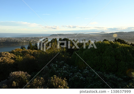 查看從山上 138637999