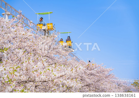 明都兒童樂園戶田川春景:櫻花盛開與自行車單軌列車(愛知縣名古屋市) 明都兒童樂園戶田川春景:櫻花盛開與自行車單軌列車(愛知縣名古屋市) 138638161