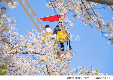 明都兒童樂園戶田川春景:櫻花盛開與自行車單軌列車(愛知縣名古屋市) 明都兒童樂園戶田川春景:櫻花盛開與自行車單軌列車(愛知縣名古屋市) 138638165