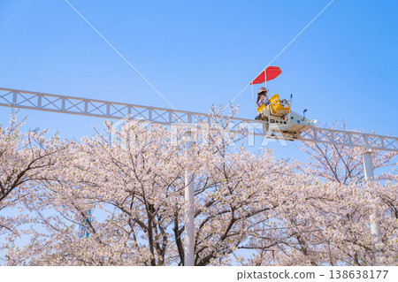 明都兒童樂園戶田川春景：櫻花盛開與自行車單軌列車（愛知縣名古屋市） 138638177