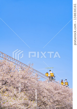 Meito Children's Land Todagawa in Spring: Cherry Blossoms in Full Bloom and the Cycle Monorail (Nagoya City, Aichi Prefecture) 138638181