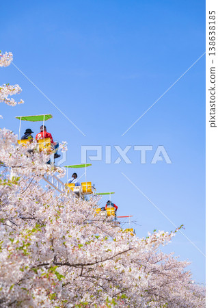 Meito Children's Land Todagawa in Spring: Cherry Blossoms in Full Bloom and the Cycle Monorail (Nagoya City, Aichi Prefecture) Meito Children's Land Todagawa in Spring: Cherry Blossoms in Full Bloom and the Cycle Monorail (Nagoya City, Aichi Prefecture) 138638185