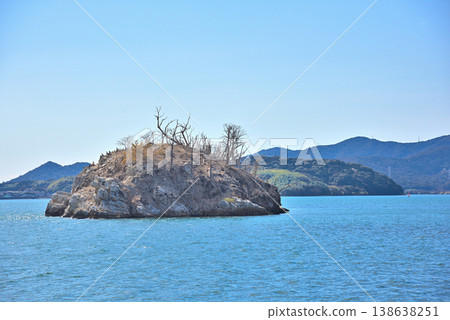 Tsubutejima Island, Osaki, Hamamatsu City, Shizuoka Prefecture Tsubutejima Island, Osaki, Hamamatsu City, Shizuoka Prefecture 138638251