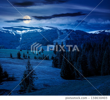 mountain landscape during spring at night. full moon over peaceful countryside scene with coniferous forest near grassy field. mysterious ridge with snow capped top in the distance 138638403