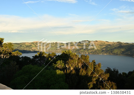 Dunedin Dunedin 138638431