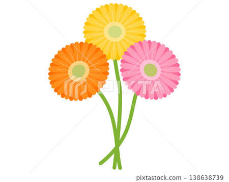 Gerbera icon Gerbera icon 138638739