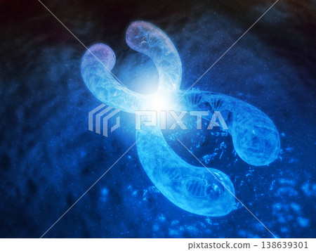 Chromosomes with DNA Chromosomes with DNA 138639301