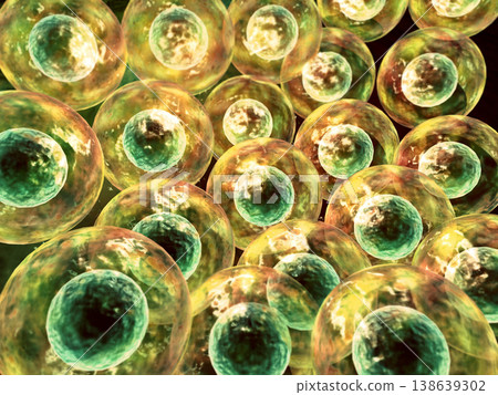 Human cells background Human cells background 138639302