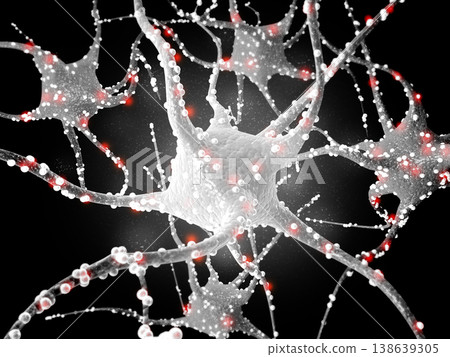 Neural network in the brain Neural network in the brain 138639305