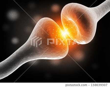 Neural network in the brain Neural network in the brain 138639307