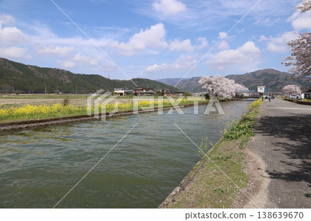 ◇洋後湖及洋後水道週邊的櫻花美景（滋賀縣長濱市洋後町） 138639670
