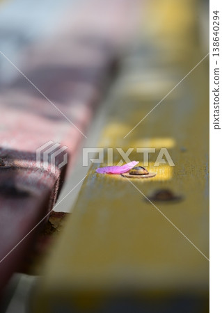 The silence of spring: A single cherry blossom petal and a streak of light lie on the bench. The silence of spring: A single cherry blossom petal and a streak of light lie on the bench. 138640294