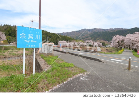 ◇洋後川沿岸的櫻花美景（滋賀縣長濱市木之本町，黑田大橋附近） 138640426