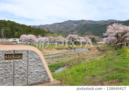 ◇Cherry blossom scenery along the Yogo River (Kinomoto-cho, Nagahama City, Shiga Prefecture, around Kuroda Ohashi Bridge) 138640427