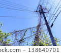 A utility pole entangled with branches 138640701