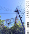 A utility pole entangled with branches 138640702