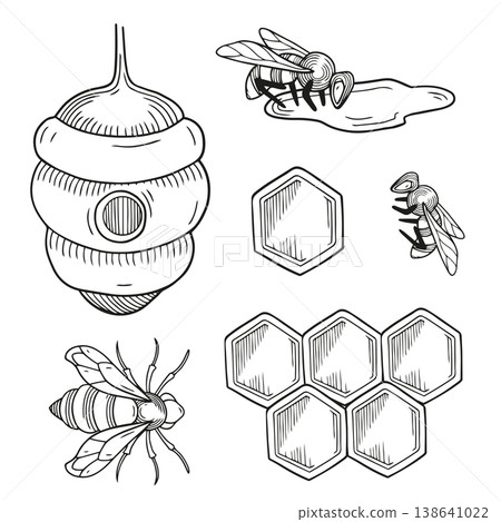 Hand-drawn graphic collection of honeycombs, bees and beehive isolated on white background for product design or packaging Hand-drawn graphic collection of honeycombs, bees and beehive isolated on white background for product design or packaging 138641022