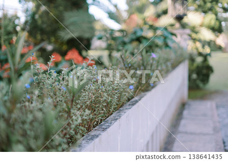 Ornamental Plants Along Bridge Pathway Enhancing Urban Landscape 138641435
