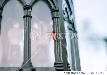 Red Beetle on Garden Lamp with Soft Background Red Beetle on Garden Lamp with Soft Background 138641452