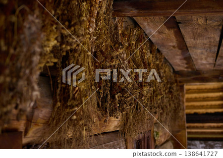 Dried herbs are hung on wooden beams in an old space for preservation during a late afternoon Dried herbs are hung on wooden beams in an old space for preservation during a late afternoon 138641727