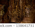 Dried herbs are hung on wooden beams in an old space for preservation during a late afternoon 138641731