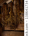 Dried herbs are hung on wooden beams in an old space for preservation during a late afternoon 138641734