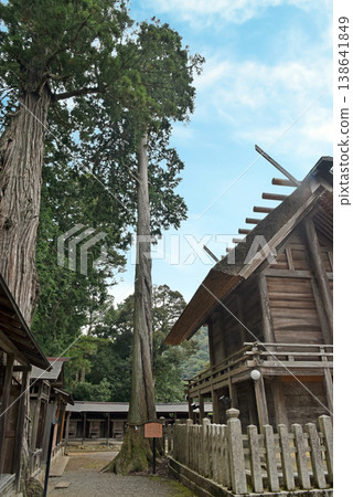 元伊勢外宮豐助大神宮的神樹 元伊勢外宮豐助大神宮的神樹 138641849