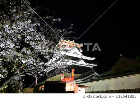 Cherry blossoms at Kiyosu Castle illuminated at night Cherry blossoms at Kiyosu Castle illuminated at night 138641925