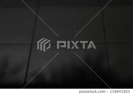 The background is made of dark gray tiles. 138641983