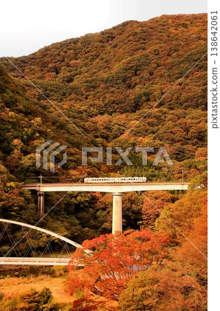 穿越秋日的天空，途經溫泉度假勝地…搭乘彌彥鐵道[6050系列]列車，前往秋色絢麗的川路溫泉。 138642061