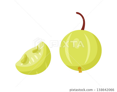 Green gooseberry fruit set with branch, leaves, whole berries and half slice, fresh garden berry botanical clipart, flat cartoon vector illustration isolated on white background Green gooseberry fruit set with branch, leaves, whole berries and half slice, fresh garden berry botanical clipart, flat cartoon vector illustration isolated on white background 138642066
