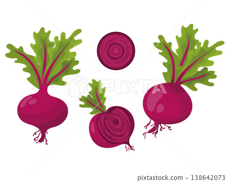 Red beetroot with green leaves, simple flat vector illustration, organic root vegetable isolated on white background. Red beetroot with green leaves, simple flat vector illustration, organic root vegetable isolated on white background. 138642073